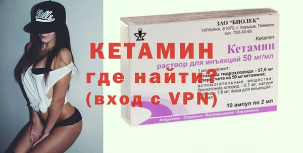 мет Алексин