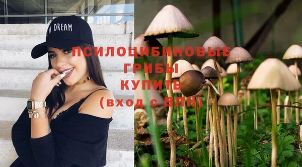 а пвп мука Медногорск