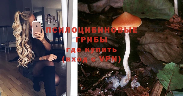 соль ск Абдулино
