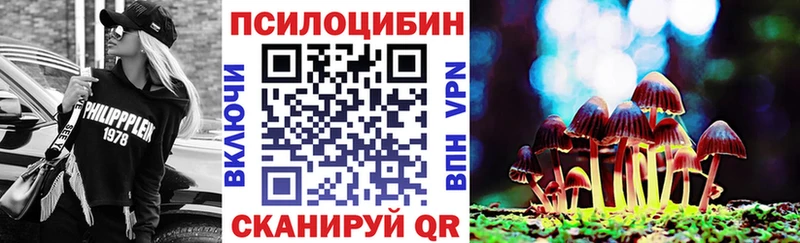 купить закладку  Эртиль  Галлюциногенные грибы GOLDEN TEACHER 