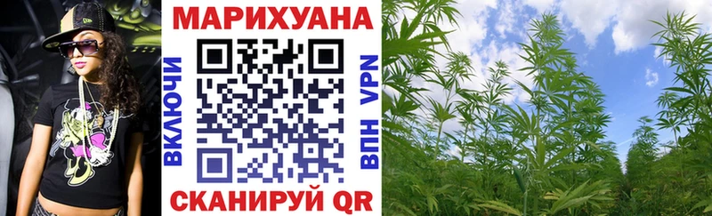KRAKEN ТОР  Эртиль  Шишки марихуана SATIVA & INDICA 